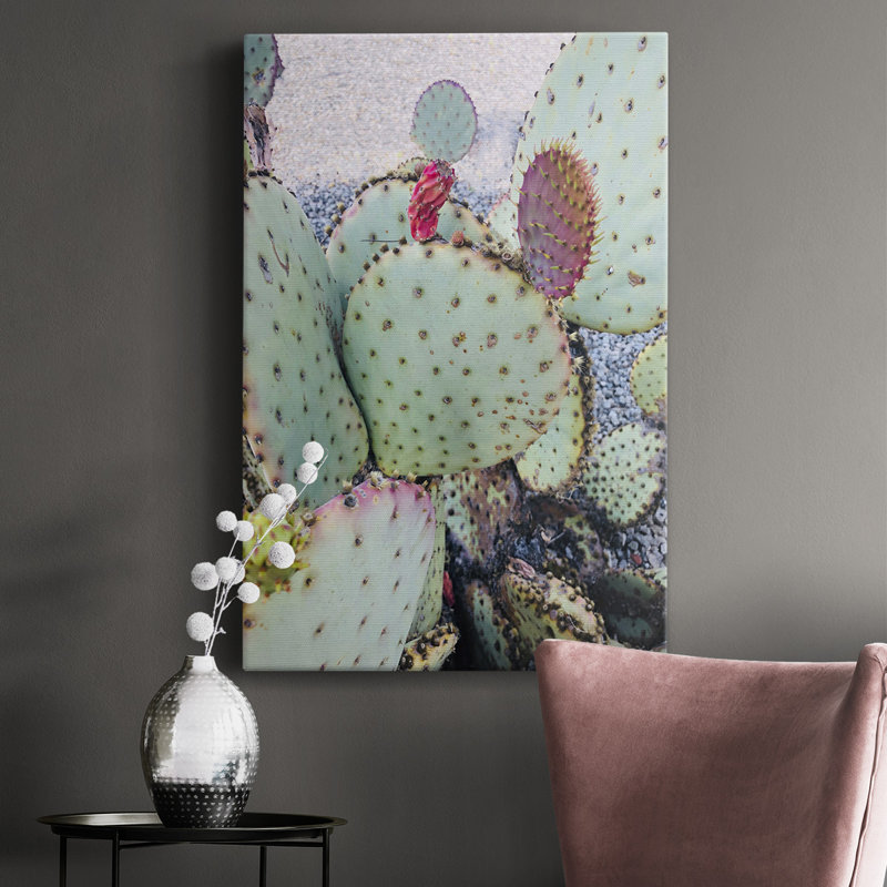 Cactus rose vert II - photographie sur toile tendue, H 36 po x l 24 po x P 1,5 po