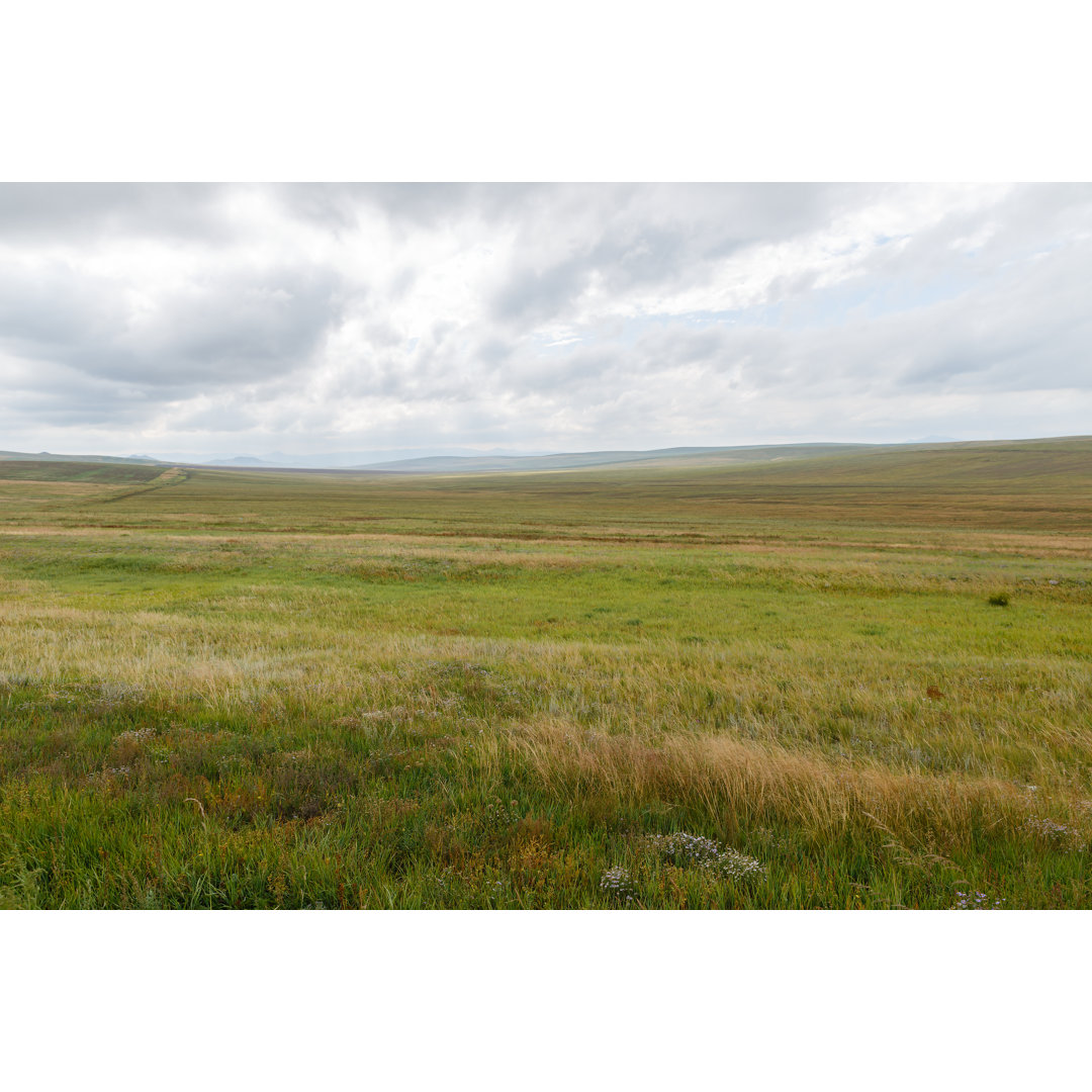 Leinwandbild Mongolian Steppe