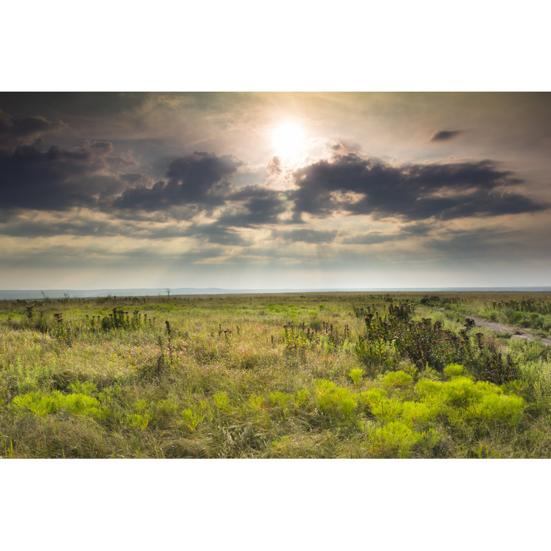 View Of Sunrise by Ricardoreitmeyer - Wrapped Canvas Print, 61cm H x 91cm W