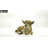 Baby Lamb Lying Down-50844491