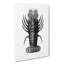 Lobster Illustrations by E.F. Jomard - Wrapped Canvas Print-55311271