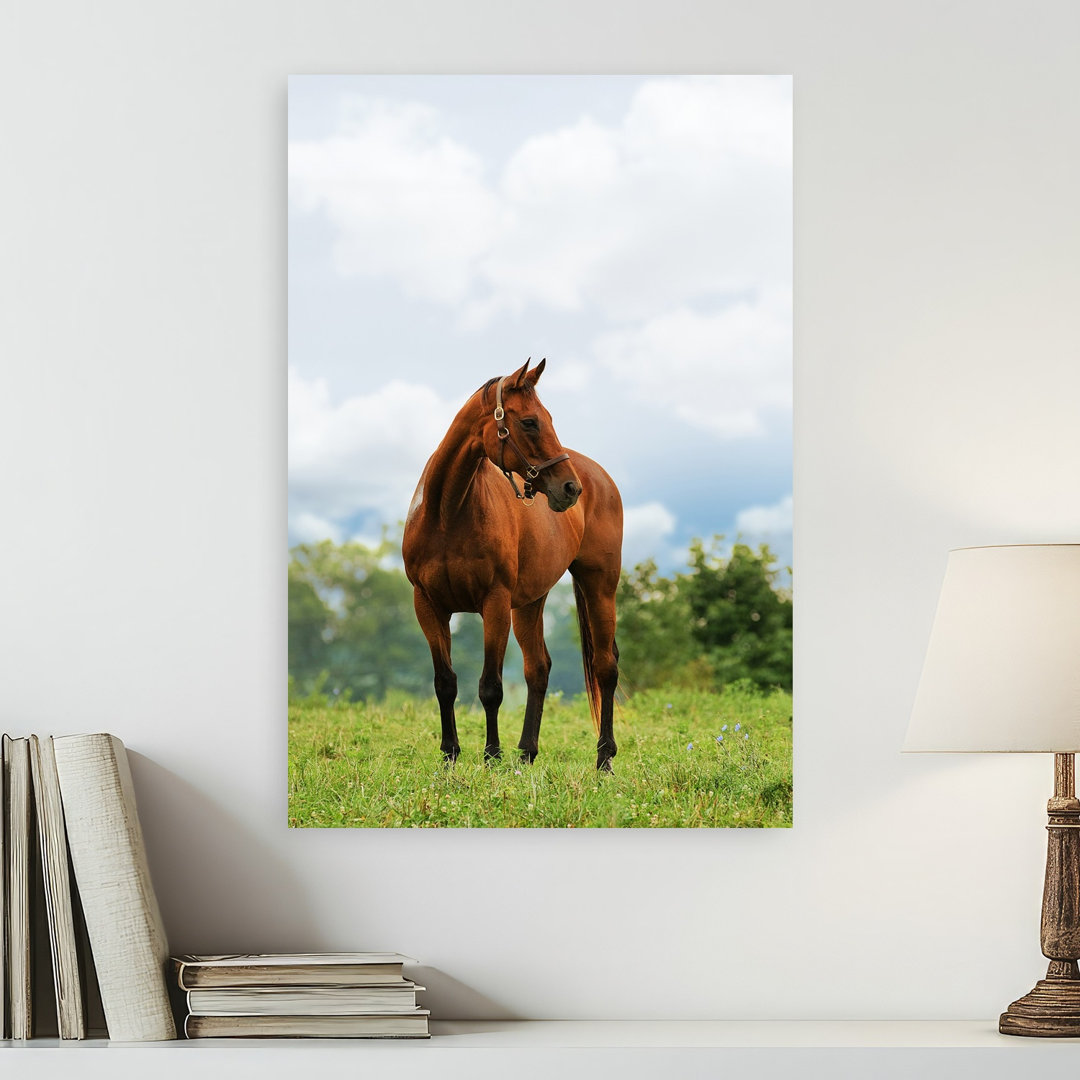 Majestic Chestnut Horse Peaceful Serene Tranquil Horse Nature Landscape Wall Art Print
