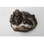 Figurines et sculptures Winsted