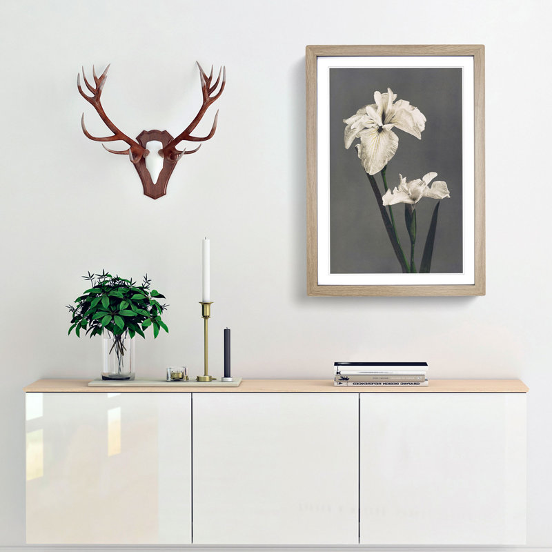 White Iris Flower by Kazumasa Ogawa - Framed Print, 36cm H x 27cm W x 2cm D, Oak Framed