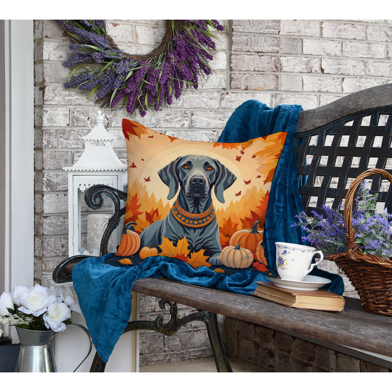 Coussin décoratif Weimaraner, 18 po x 18 po