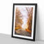 A Road Through the Woods in Abstract - Framed Print-55450898-55450899