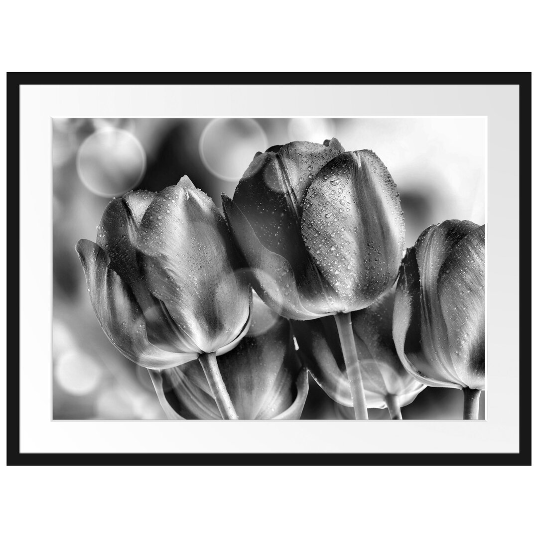 Gerahmtes Poster Rote Tulpen