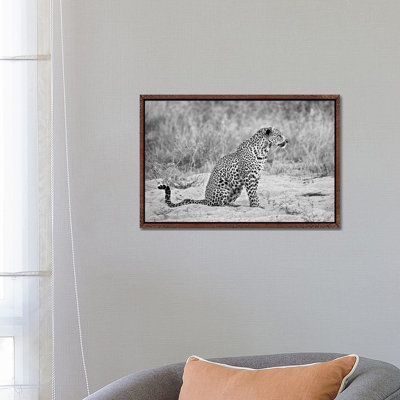 Leopard In Black And White - Print on Canvas