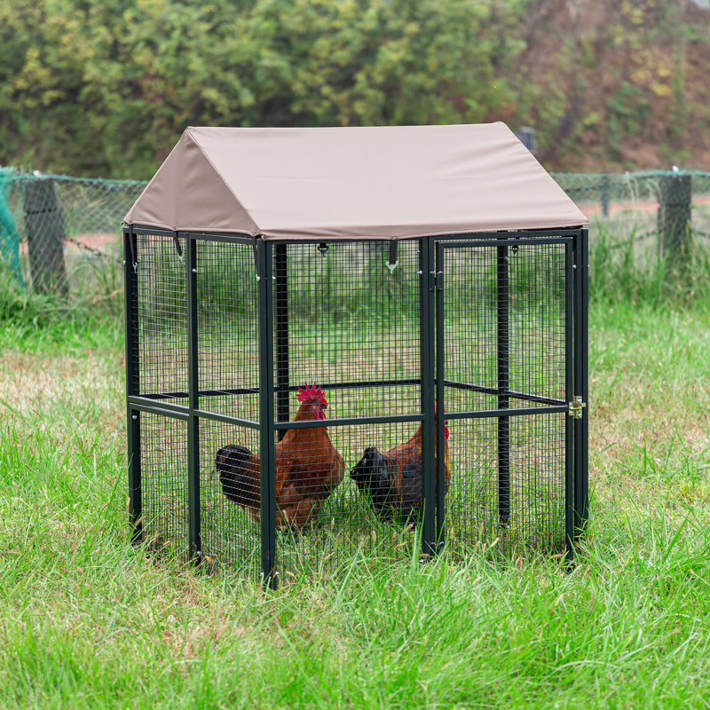 Cage universelle résistante aux intempéries Draupadi, H 48 po x l 37,2 po x P 36 po