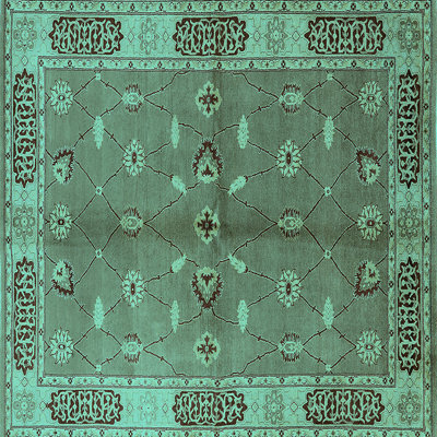 Oriental Indoor Rug