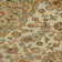 Oriental Indoor Rug