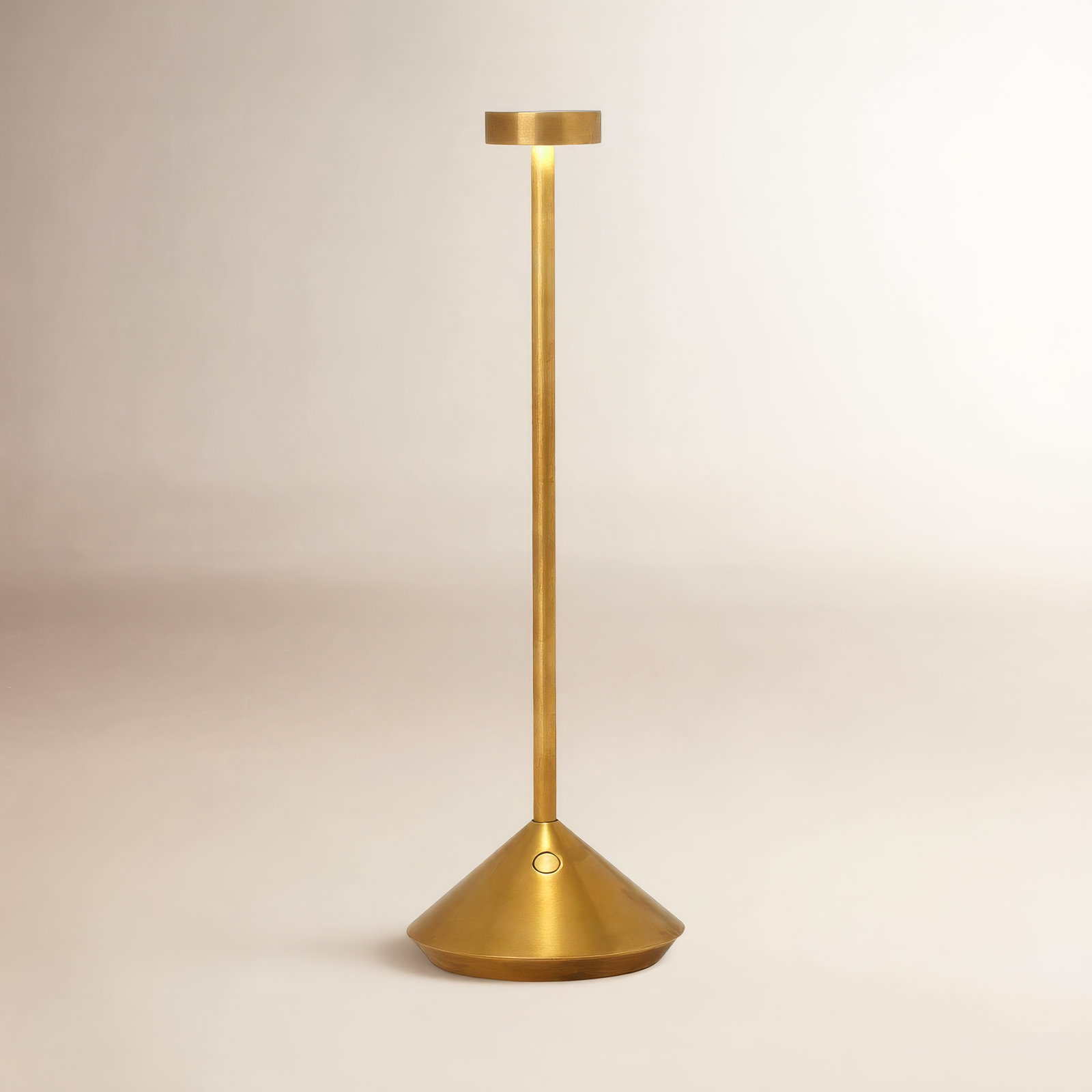 Moneta Novelty Lamp, Natural Brass