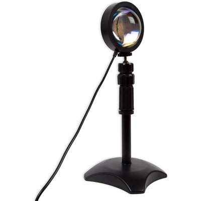 Brayshaw Adjustable Novelty Lamp