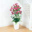 120cm Plant