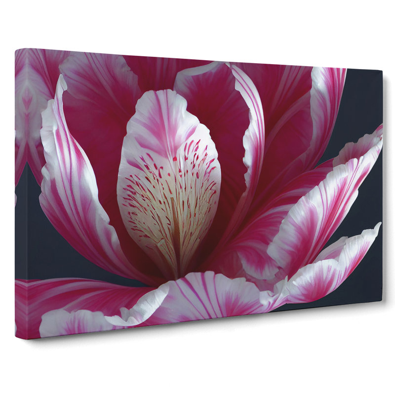 Enlightening Flower - Wrapped Canvas, 40cm H x 60cm W x 3cm D