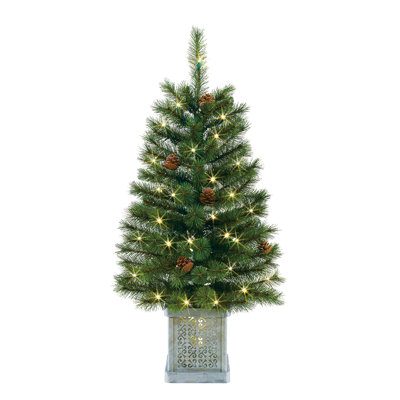 36' Lighted Pine Christmas Tree