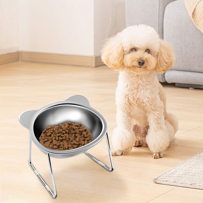 Cats Bowl Dog Dog Bowl