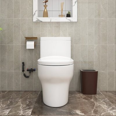 TCYO 1.6 Gallons GPF Elongated One-Piece Toilet (Seat Included)