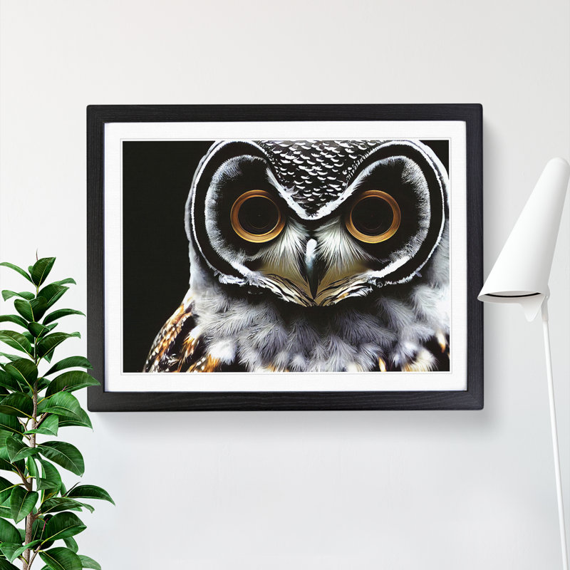 Favourable Owl - Single Picture Frame Print, 46cm H x 64cm W x 2cm D, Black