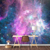 Planet In Outer Space Galaxy Paintable Wall Mural