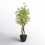 84'' Faux Star Leaf Tree Tree in Metal Planter