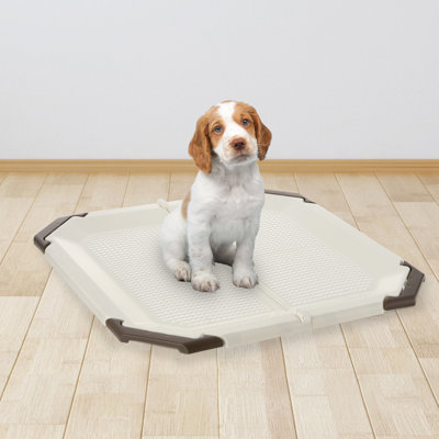 Porte-coussin en filet Paw Trex