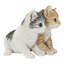 Chatons assis ensemble