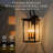 3-Light Square Lantern Outdoor Wall Sconce