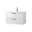 Wall Mounted Bathroom Vanity with Ceramic Sink
