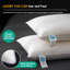 Oreiller en plumes et duvet d'oie blanche avec coquille 100% coton-1670354903