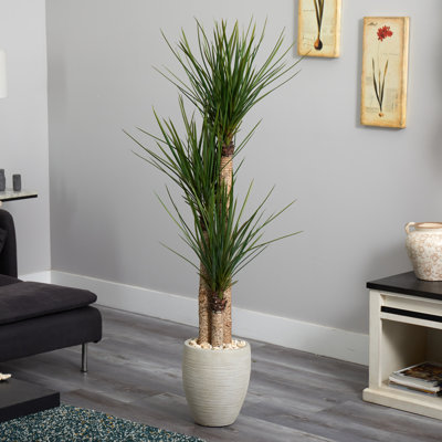 64'' Faux Yucca Tree in Earthenware Pot