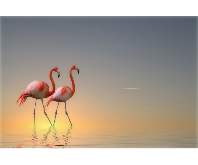 Wrapped Canvas Print, 76.2 cm H x 50.8 cm W