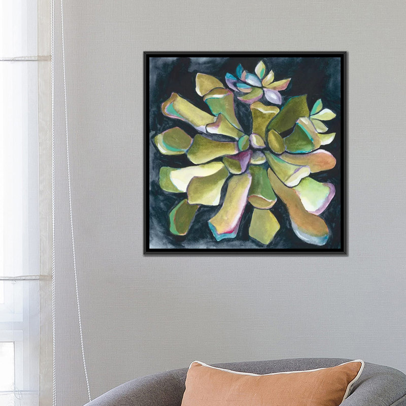 « succulent rosette i », reproduction sur toile, H 18 po x l 18 po x P 1,5 po, Toile avec cadre noir, Pas de tapis