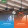 Presto 52" Modern Minimalist 3 - Blade Indoor Ceiling Fan with Wall Control