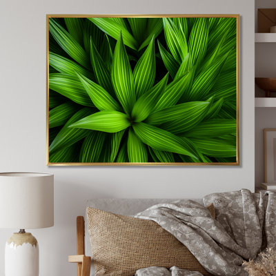 Greenerys Gaze sur impression sur toile