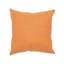 Coussin Vision II