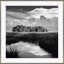 Marsh In Black & White Giclee Print