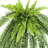 40" Artificial Boston Fern Plant