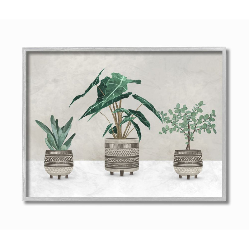 «Plants in Patterned Pots Neutral Gray Design» par Ziwei Li - impression d'art graphique, H 16 po x l 20 po