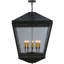 Dayne 10 - Light Chandelier