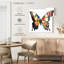 Crowle Papillon Daisy-111886671