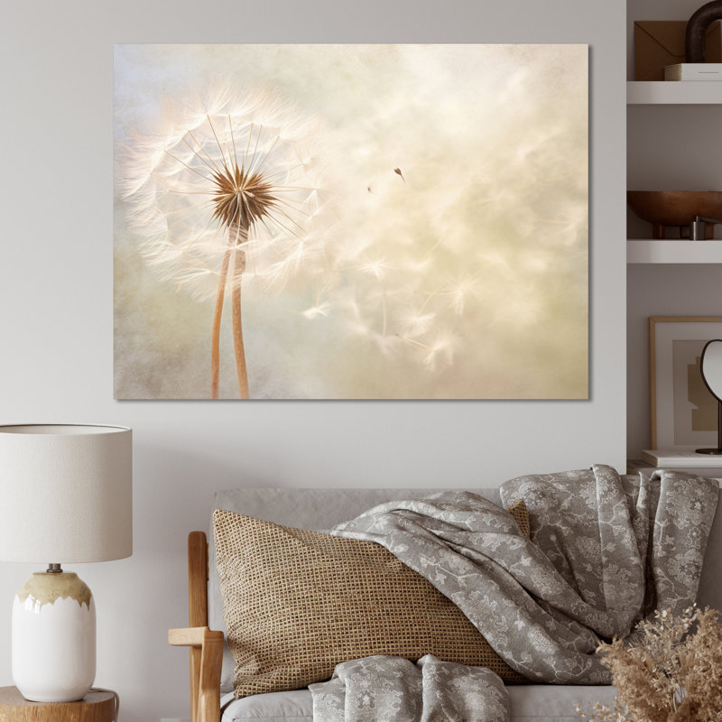 Impression romantique pissenlit blanc IV - Pissenlit blanc, Toile tendue, H 30 po x l 40 po x P 1,5 po