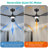 2pcs 42-inch Ceiling Fans With Lights And Remote Control Black-1154962149-1154962146