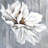 Blue Bedroom Tablecloth - Flower on Wood, Indoor/Outdoor Decor