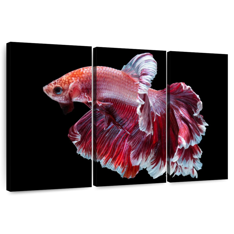 Brampt Red And White Betta Fish, 48" H x 74" W