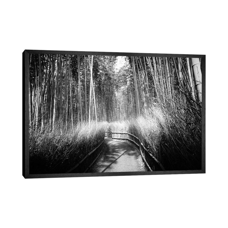 Philippe Hugonnard - Floater Frame Print on Canvas, Black Framed