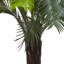 3ft. Cycas Tree UV Resistant (Indoor/Outdoor)
