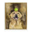 Golden Retriever avec cadre flottant de balle de tennis, design par George Dyachenko-704401616-704401619