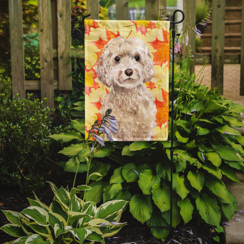 Automne 2 côtés en polyester 15 x 11 po drapeau de jardin, Cockapoo champagne