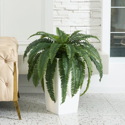 Adcock Artificial Boston Fern Bush Plant with White Tapered Planter - UV Resistant Faux Ferns with 39 Leaves